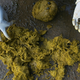 Image for article titled Someone From Portland Wants to Sell You Shit (From Their Butt), and Then You Can Drink It
